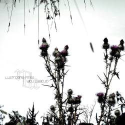 Niemandsluft : Lustrating Fires Ardent Rain